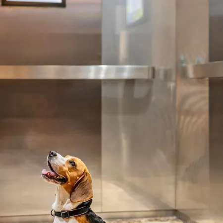 Otel Ibis Liberdade Lisboa